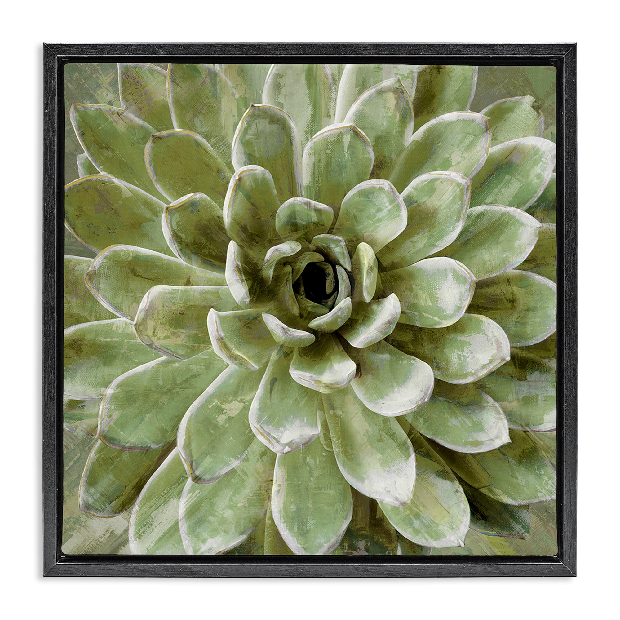 Stupell Industries Green Botanical Succulent Bloom Botanical & Floral Painting Black Floater Framed Canvas Art Print Wall Art, 18 x 18