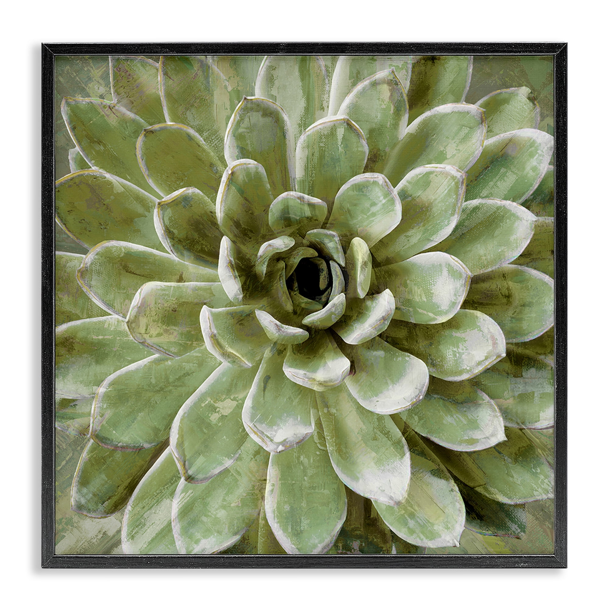 Stupell Industries Green Botanical Succulent Bloom Botanical & Floral Painting Black Framed Art Print Wall Art, 17 x 17