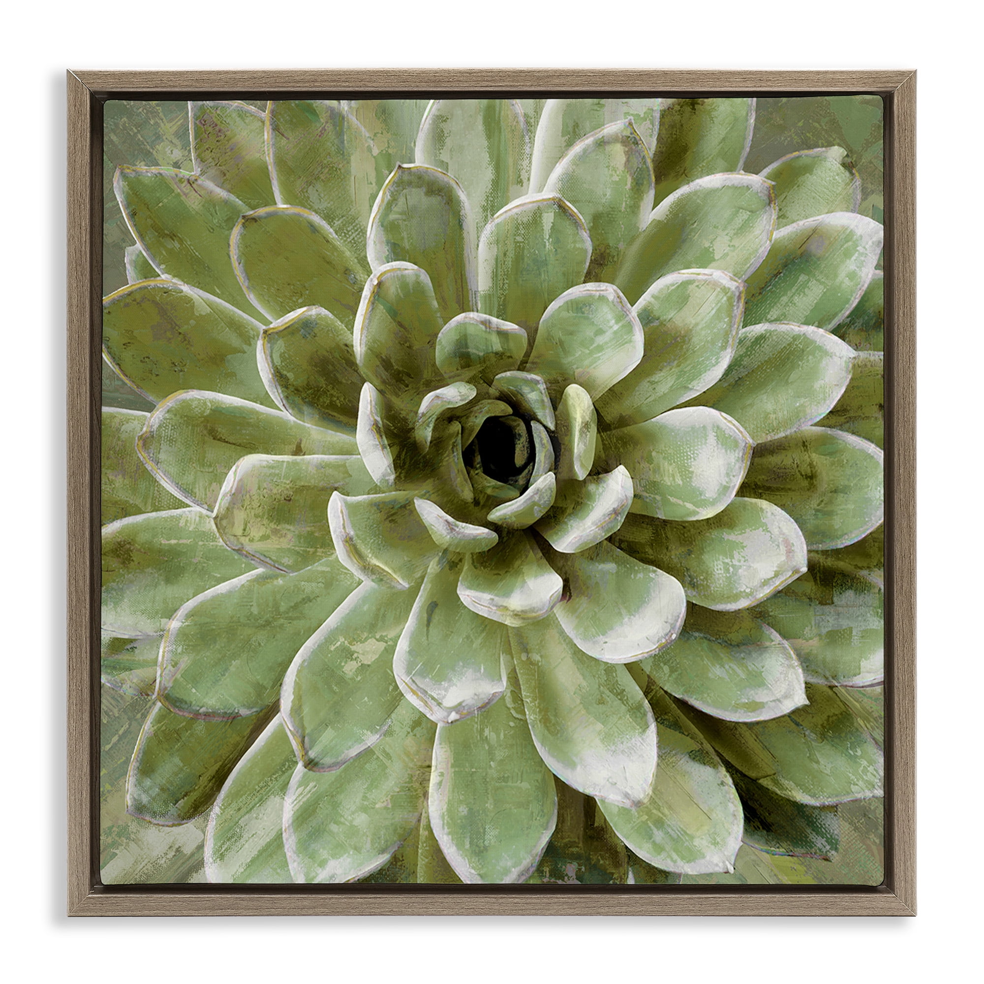 Stupell Industries Green Botanical Succulent Bloom Botanical & Floral Painting Brown Floater Framed Canvas Art Print Wall Art, 18 x 18