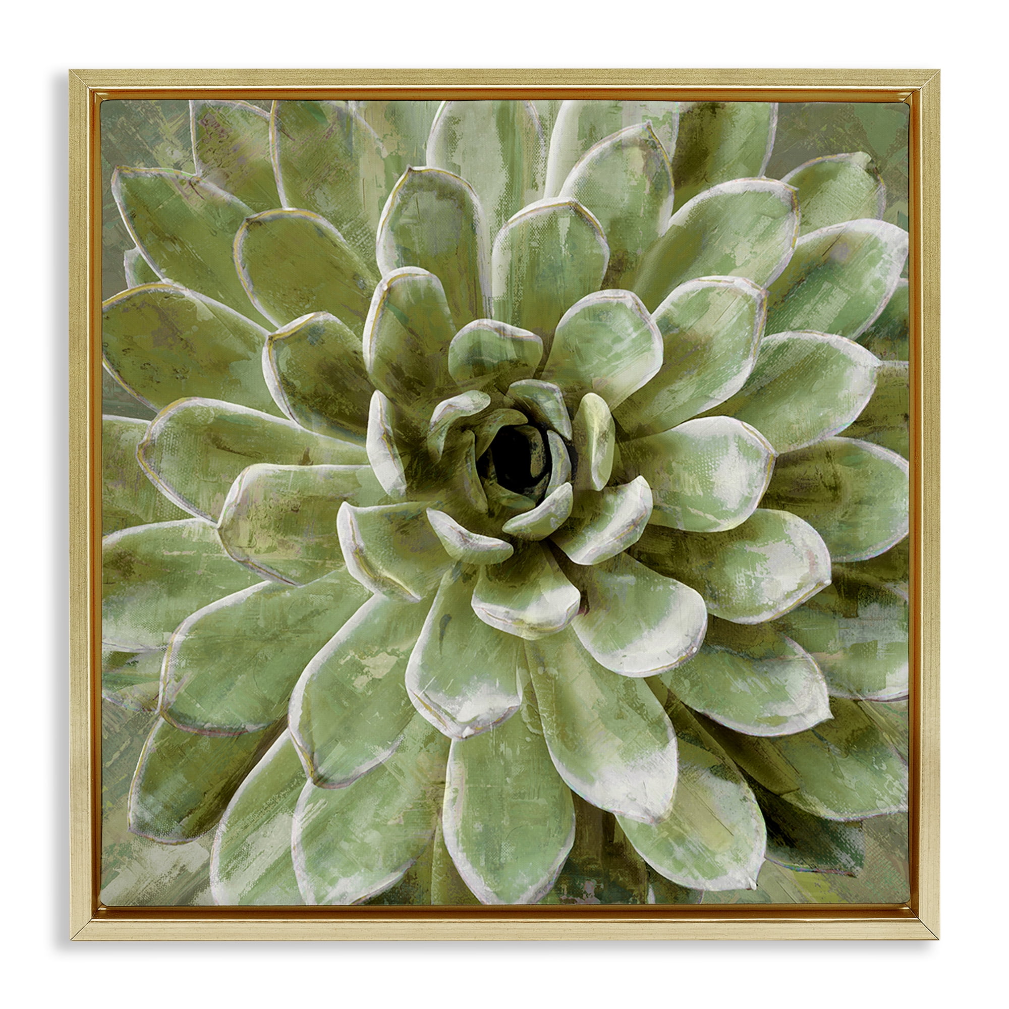 Stupell Industries Green Botanical Succulent Bloom Botanical & Floral Painting Gold Floater Framed Canvas Art Print Wall Art, 25 x 25