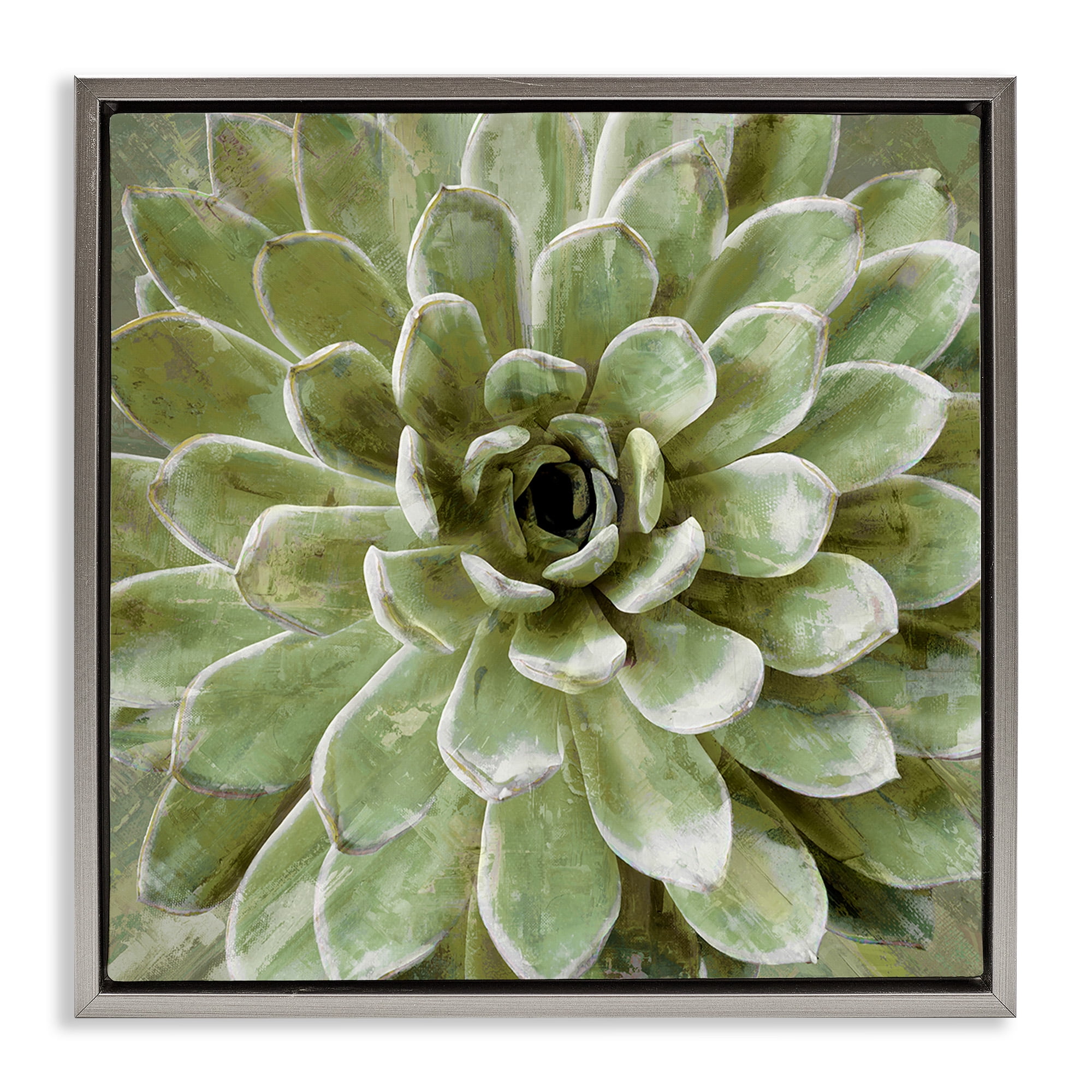 Stupell Industries Green Botanical Succulent Bloom Botanical & Floral Painting Gray Floater Framed Canvas Art Print Wall Art, 18 x 18