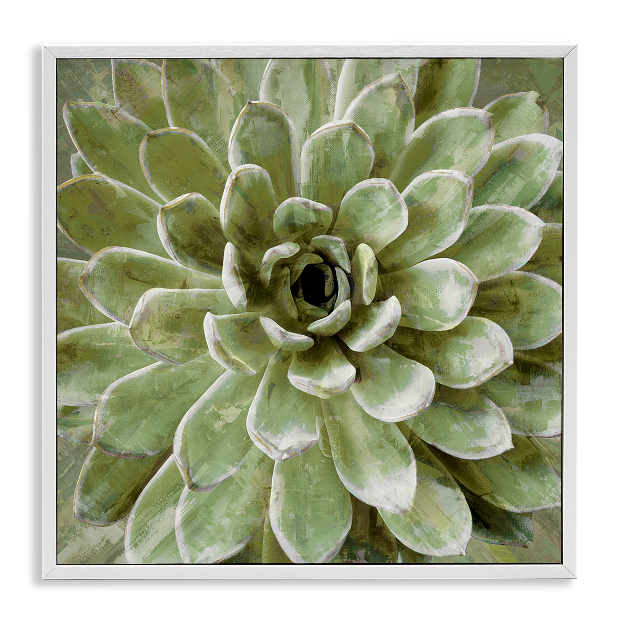 Stupell Industries Green Botanical Succulent Bloom Botanical & Floral Painting White Framed Art Print Wall Art, 12 x 12