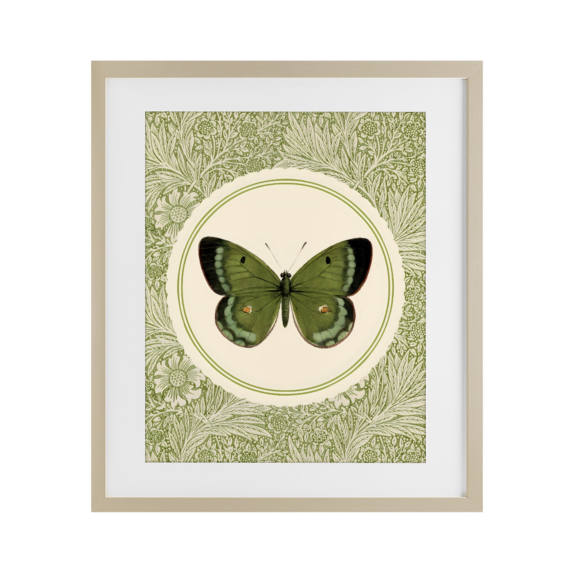 Stupell Industries Green Butterfly Botanical Medallion Birch Framed Print Under Glass, design by LSR Design Studio