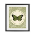 thumbnail image 1 of Stupell Industries Shabby Chic Green Butterfly Botanical Medallion Black Framed Print Under Glass, 17 x 21, by LSR Design Studio, 1 of 8