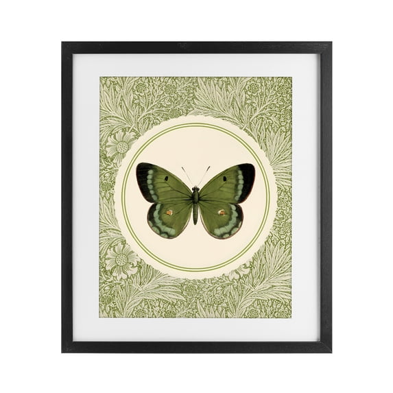 Stupell Industries Shabby Chic Green Butterfly Botanical Medallion Black Framed Print Under Glass, 17 x 21, by LSR Design Studio