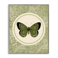 thumbnail image 1 of Stupell Industries Shabby Chic Green Butterfly Botanical Medallion Gray Framed Giclee Art, 16 x 20, by LSR Design Studio, 1 of 8