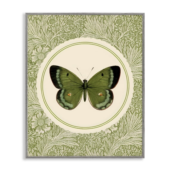 Stupell Industries Shabby Chic Green Butterfly Botanical Medallion Gray Framed Giclee Art, 16 x 20, by LSR Design Studio