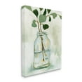 thumbnail image 1 of Stupell Industries Green Eucalyptus Branch Glass Jar Contemporary Still Life, 24 x 30, Design by Emma Caroline, 1 of 5