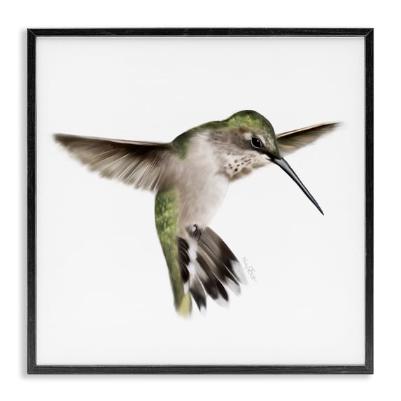 Stupell Industries Coastal Green Hummingbird Hovering Wings Flying Bird Beak Black Framed Giclee Art, 12 x 12, by Studio Q