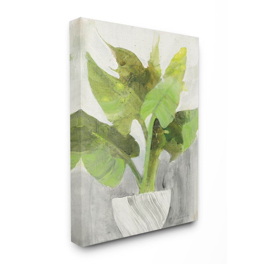 Stupell Industries Green Large Plant White Planter Indoor Home Painting Canvas Wall Art Design by Albena Hristova, 24" x 30"