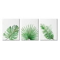 thumbnail image 1 of Stupell Industries Green Leaves Modern Green Tropical Palm Fans , 24 x 30,Design by Patricia Pinto, 1 of 5