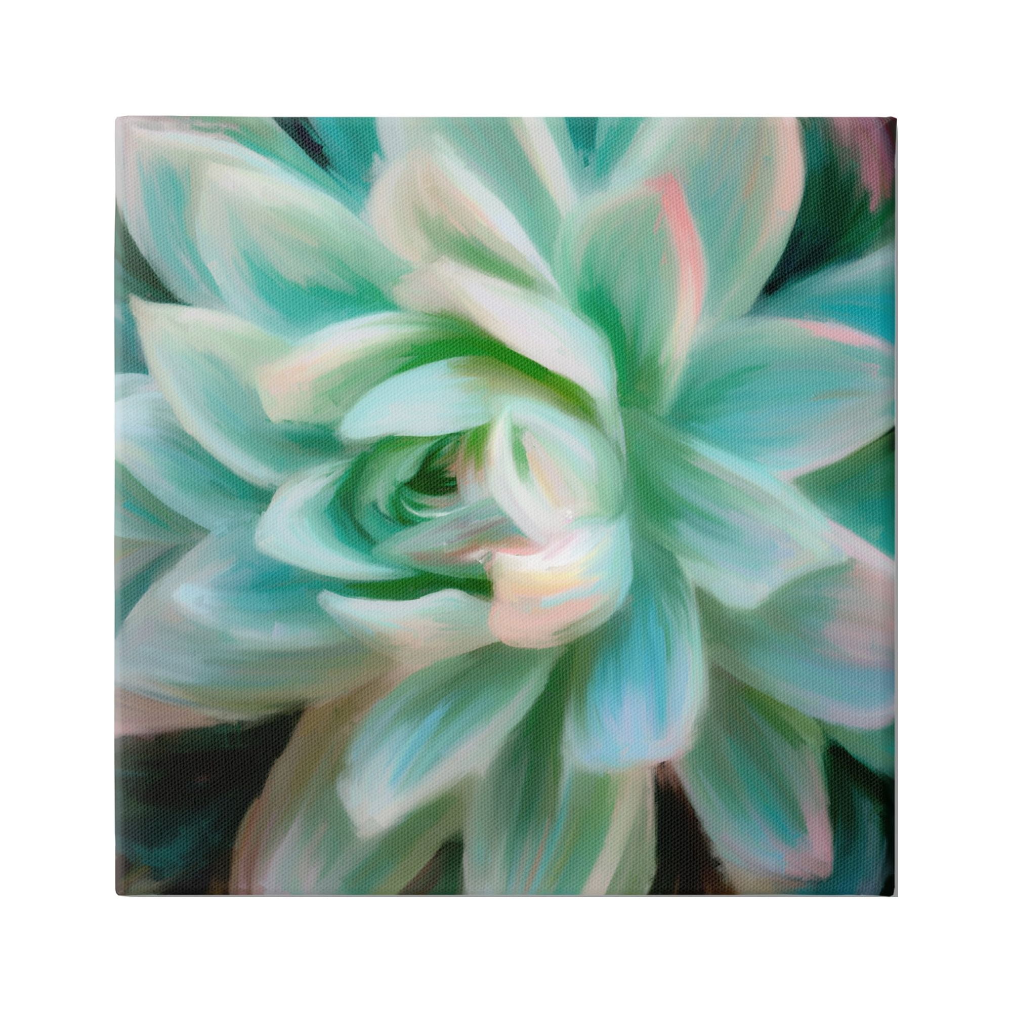 Stupell Industries Green Modern Succulent Botanical & Floral Painting Gallery Wrapped Canvas Print Wall Art, 36 x 36