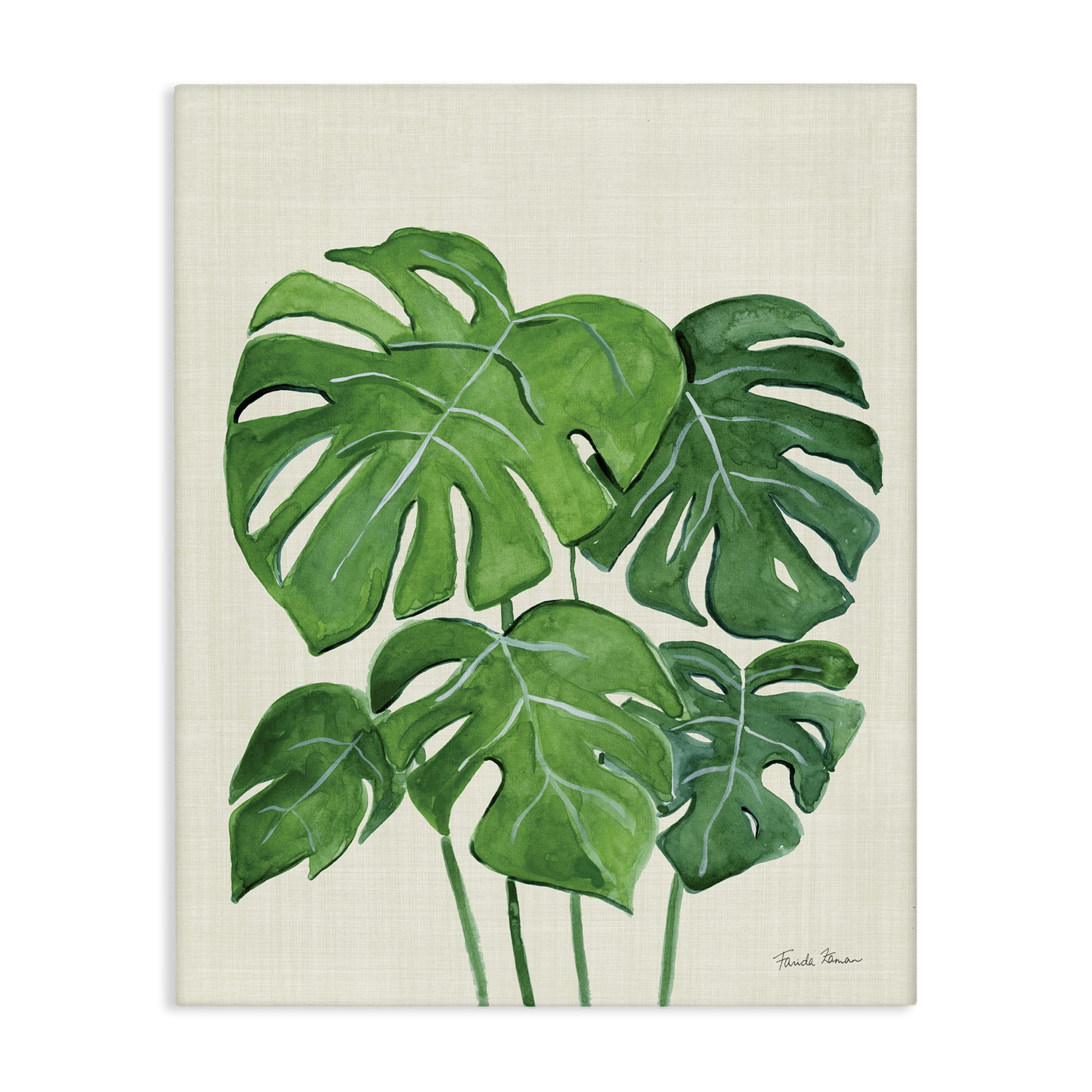 Stupell Industries Green Monstera Bundle Botanical & Floral Painting Gallery Wrapped Canvas Art Print Wall Art, 36 x 48