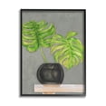 thumbnail image 1 of Stupell Industries Green Monstera Palm Pair Indoor Tabletop Still Life, 11 x 14, Design by Jennifer Goldberger&nbsp;, 1 of 7