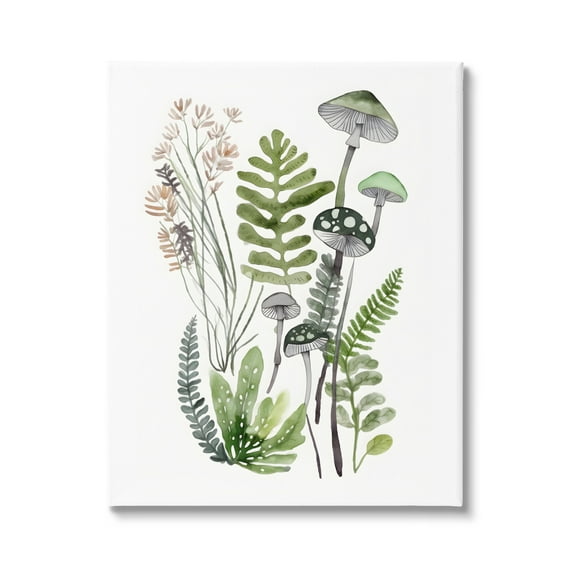 Stupell Industries Green Mushroom Botanicals Botanical & Floral Painting Gallery Wrapped Canvas Art Print Wall Art, 16 x 20