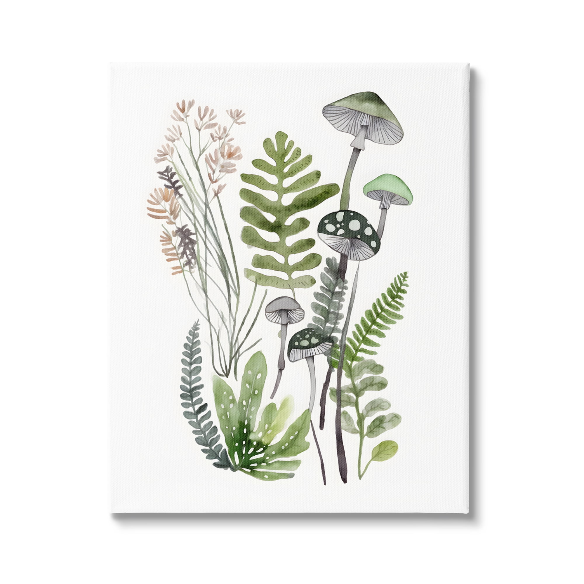 Stupell Industries Green Mushroom Botanicals Botanical & Floral Painting Gallery Wrapped Canvas Art Print Wall Art, 36 x 48
