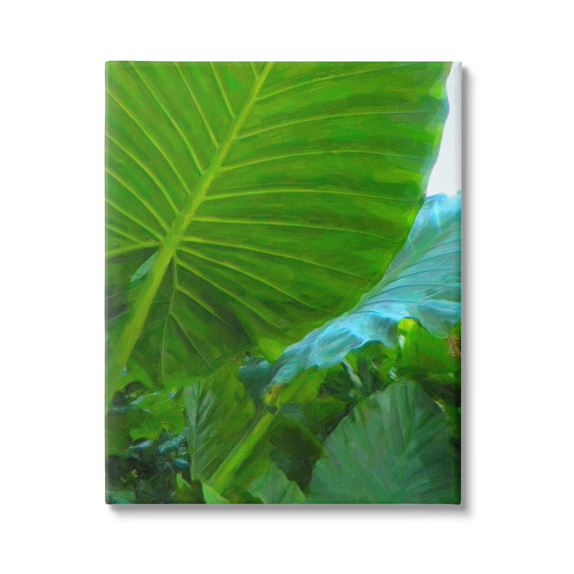 Stupell Industries Green Palm Leaf Painting Botanical & Floral Photography Gallery Wrapped Canvas Print Wall Art, 36 x 48