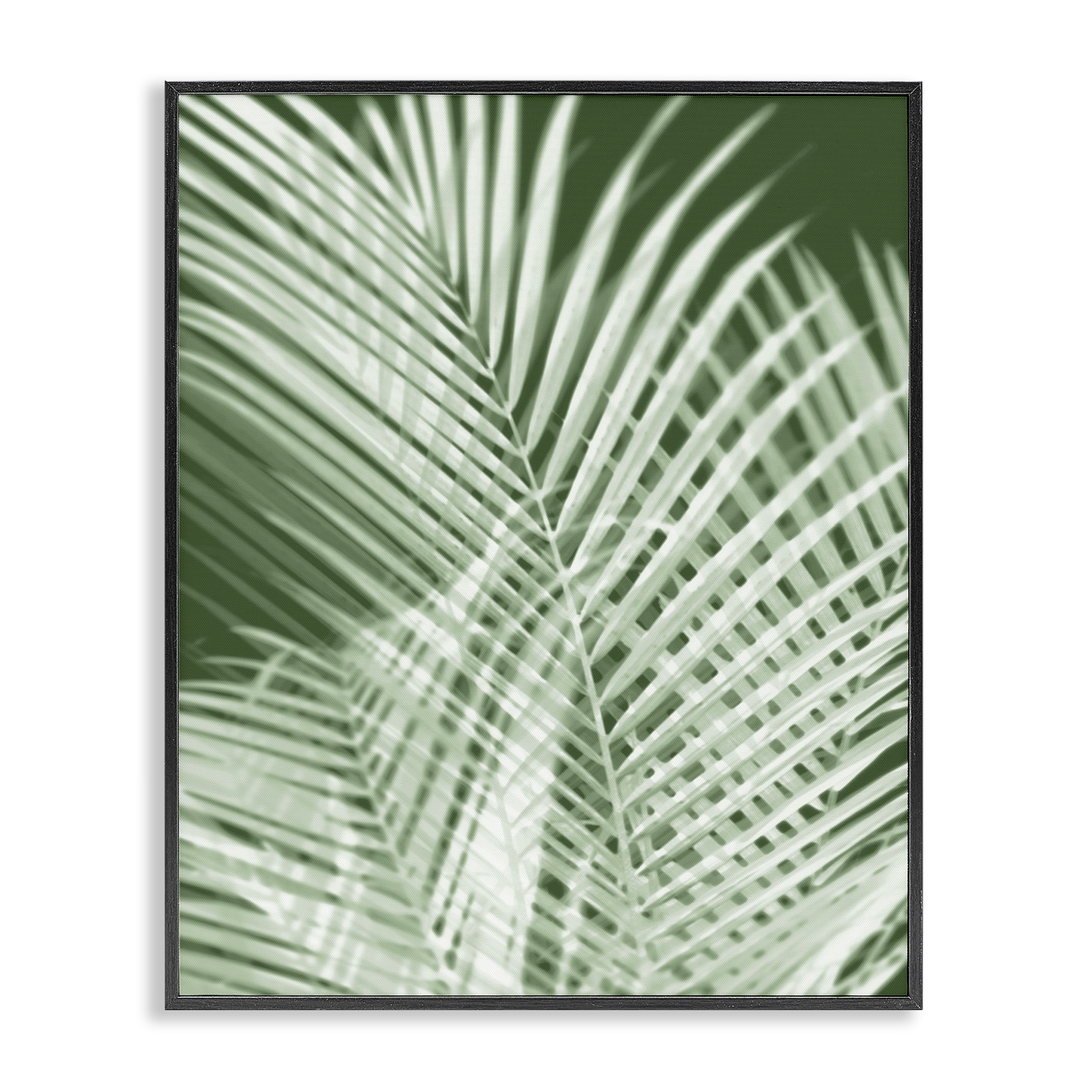 Stupell Industries Green Palm Leaves Botanical & Floral Painting Black Framed Art Print Wall Art, 16 x 20