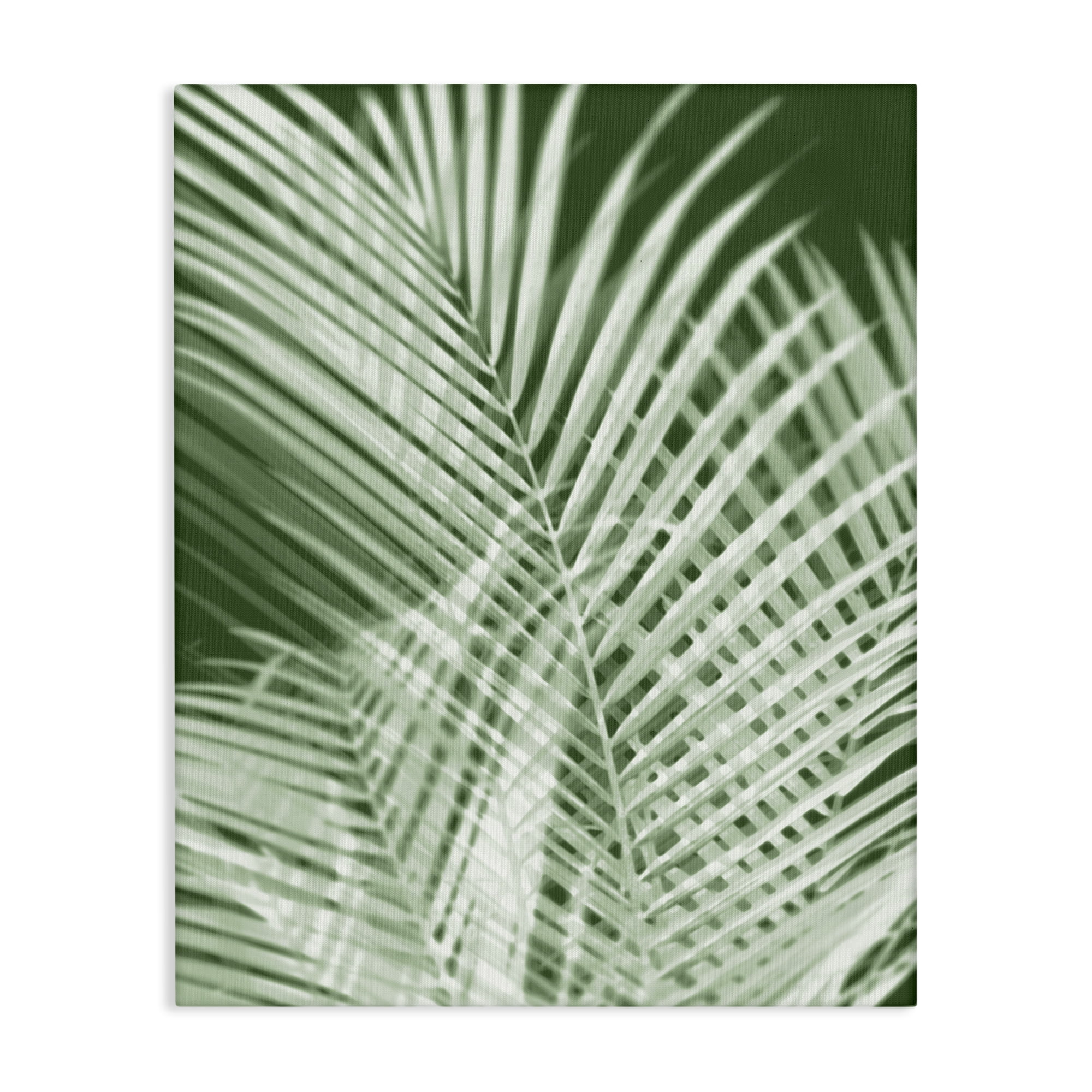 Stupell Industries Green Palm Leaves Botanical & Floral Painting Gallery Wrapped Canvas Art Print Wall Art, 30 x 40