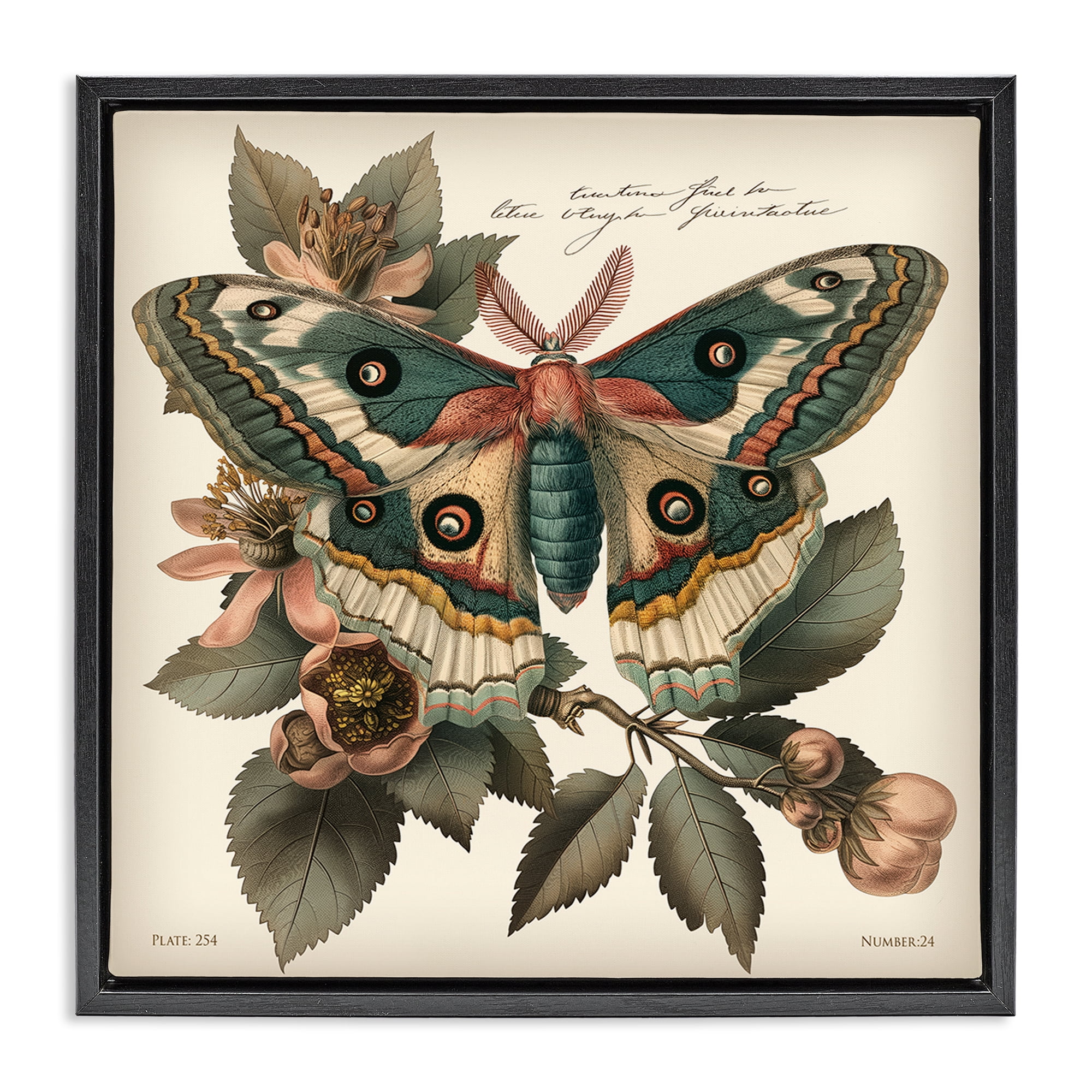 Stupell Industries Green Patterned Moth Animals Painting Black Floater Framed Canvas Art Print Wall Art, 25 x 25