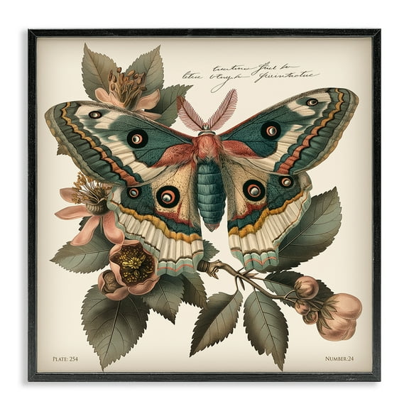 Stupell Industries Green Patterned Moth Animals Painting Black Framed Art Print Wall Art, 12 x 12