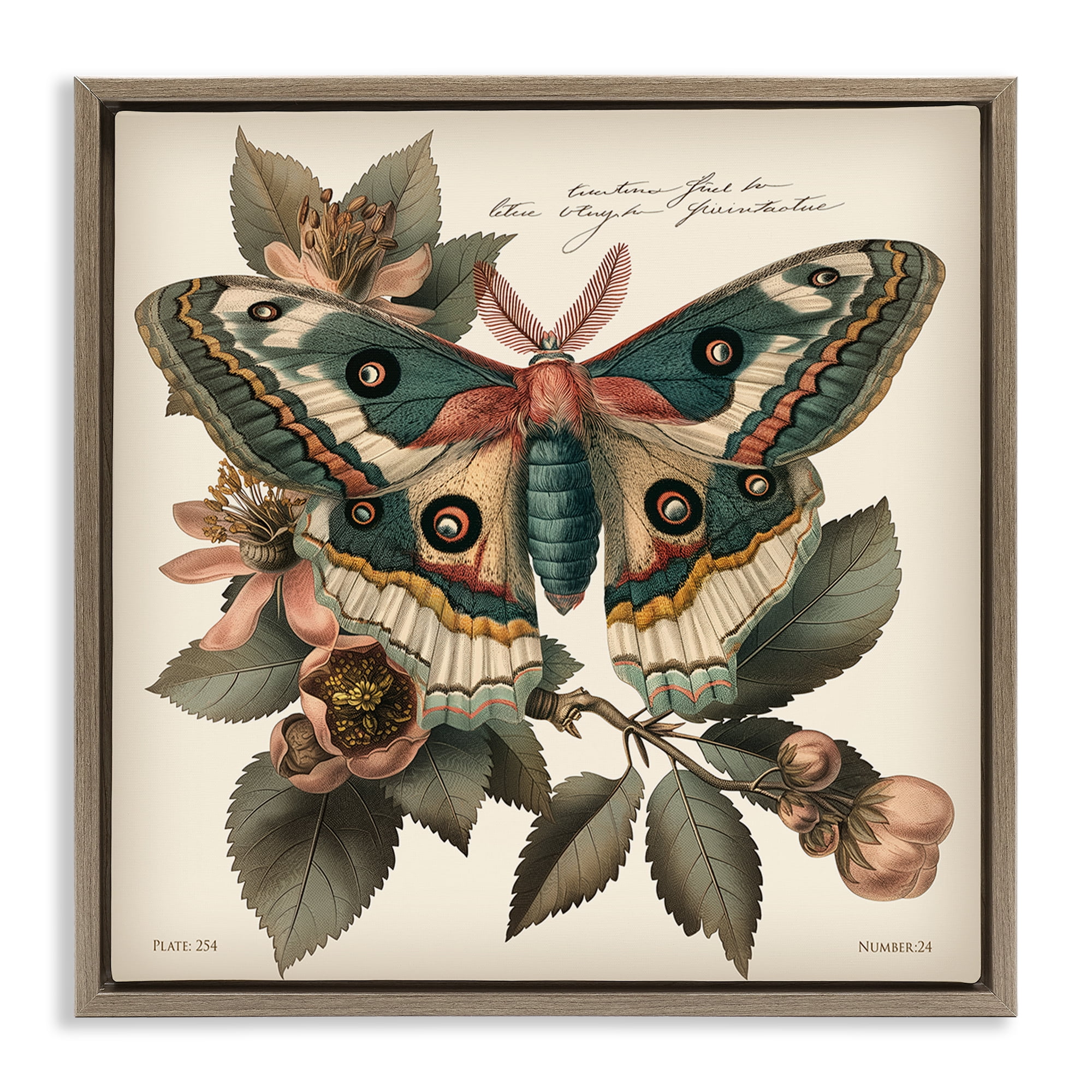 Stupell Industries Green Patterned Moth Animals Painting Brown Floater Framed Canvas Art Print Wall Art, 18 x 18