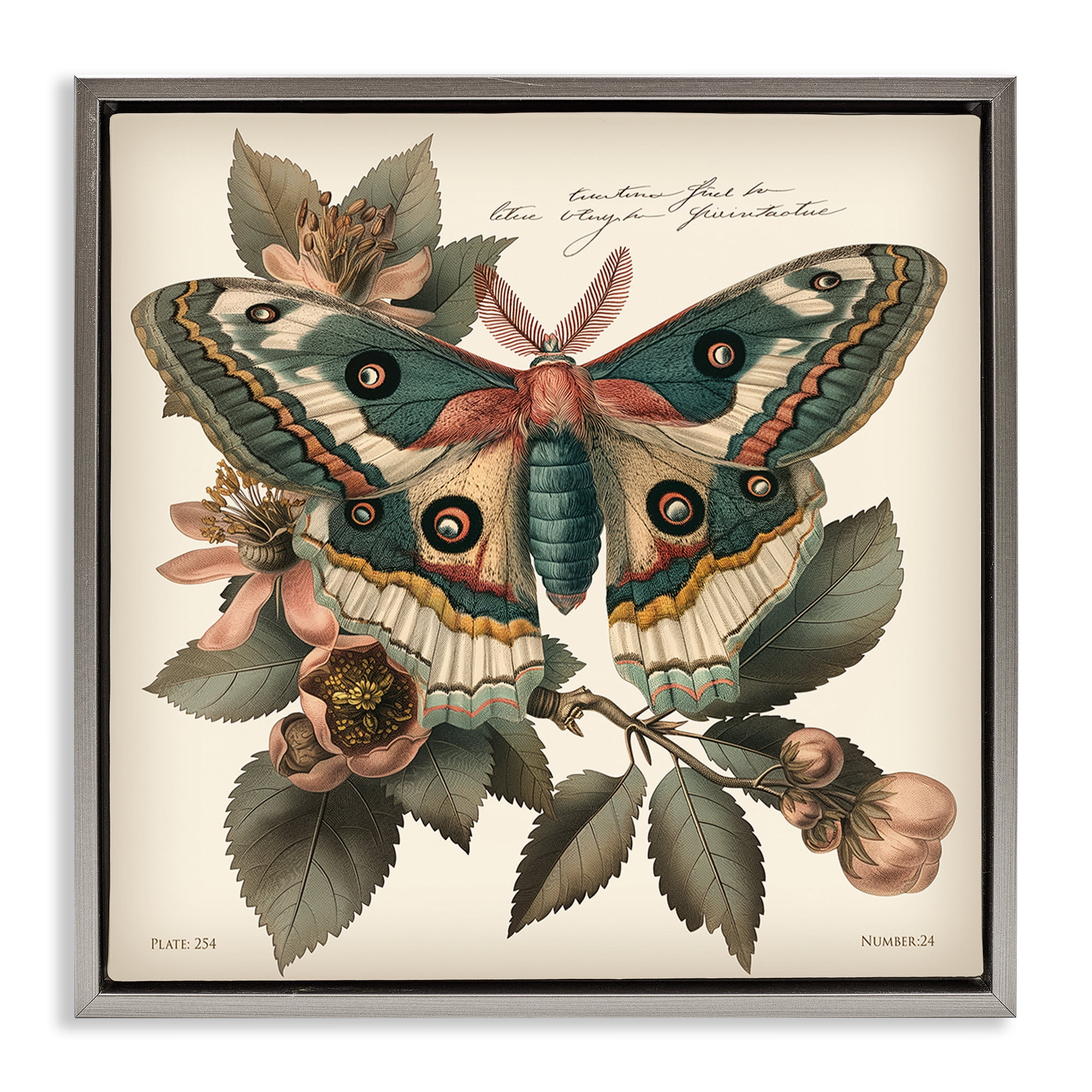 Stupell Industries Green Patterned Moth Animals Painting Gray Floater Framed Canvas Art Print Wall Art, 25 x 25