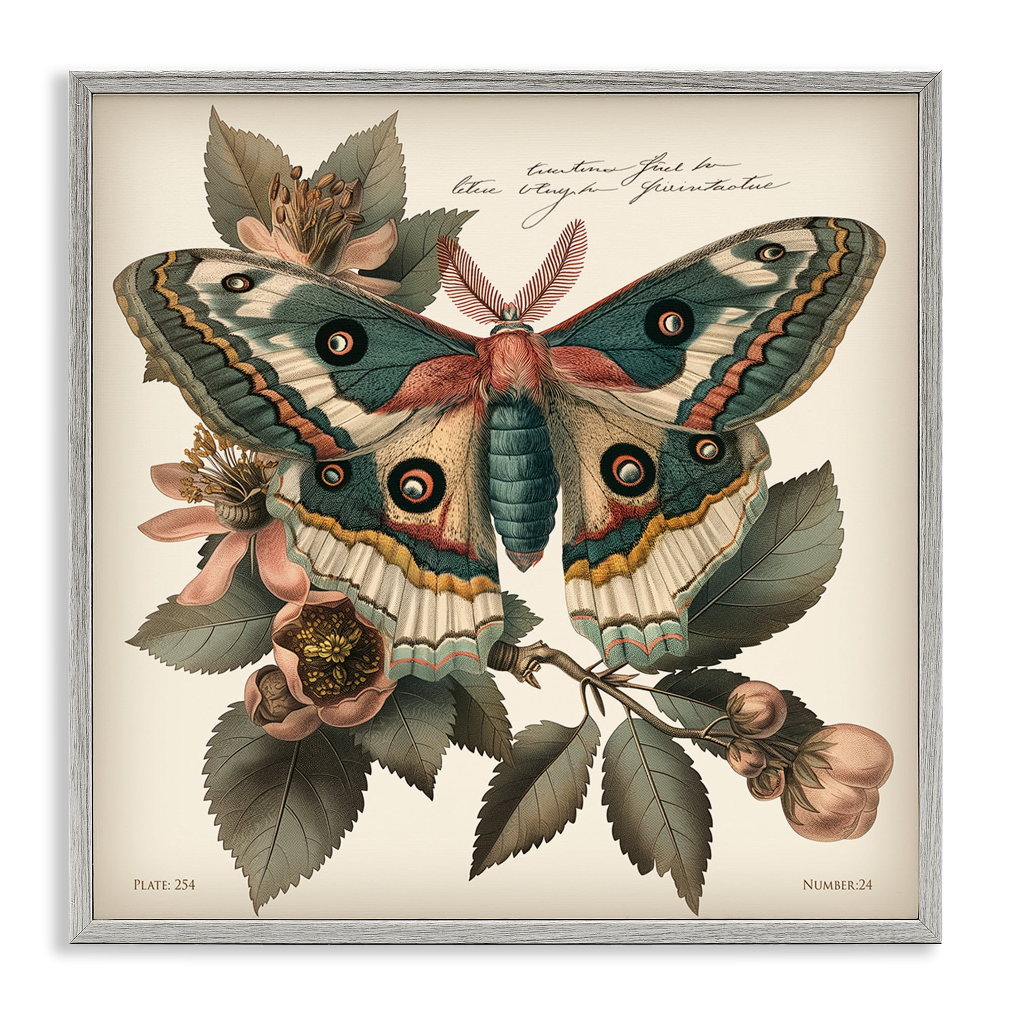 Stupell Industries Green Patterned Moth Animals Painting Gray Framed Art Print Wall Art, 24 x 24