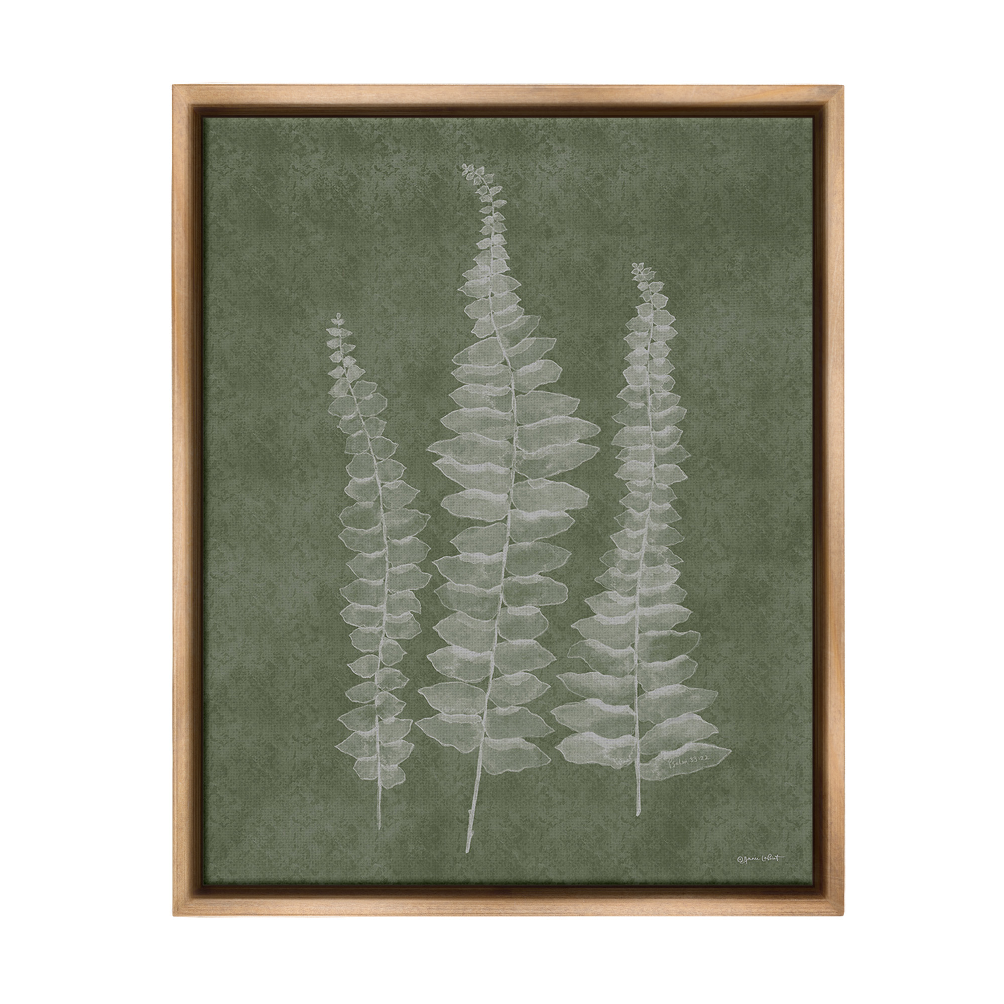 Stupell Industries Green Rustic Botanicals Botanical & Floral Painting Brown Floater Framed Canvas Art Print Wall Art, 25 x 31