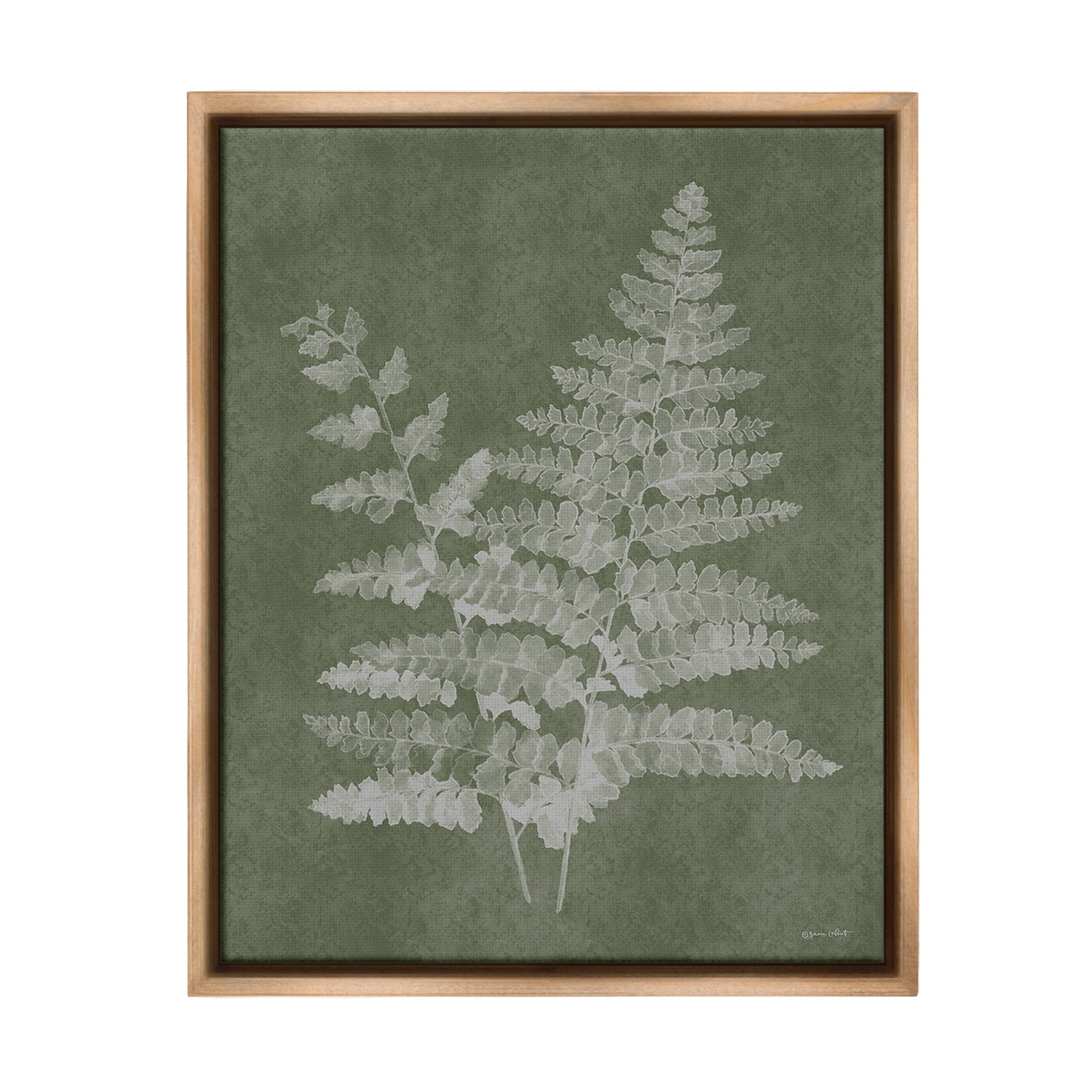 Stupell Industries Green Rustic Ferns Botanical & Floral Painting Brown Floater Framed Canvas Art Print Wall Art, 25 x 31