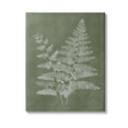 thumbnail image 1 of Stupell Industries Green Rustic Ferns Botanical & Floral Painting Gallery Wrapped Canvas Art Print Wall Art, 16 x 20, 1 of 8