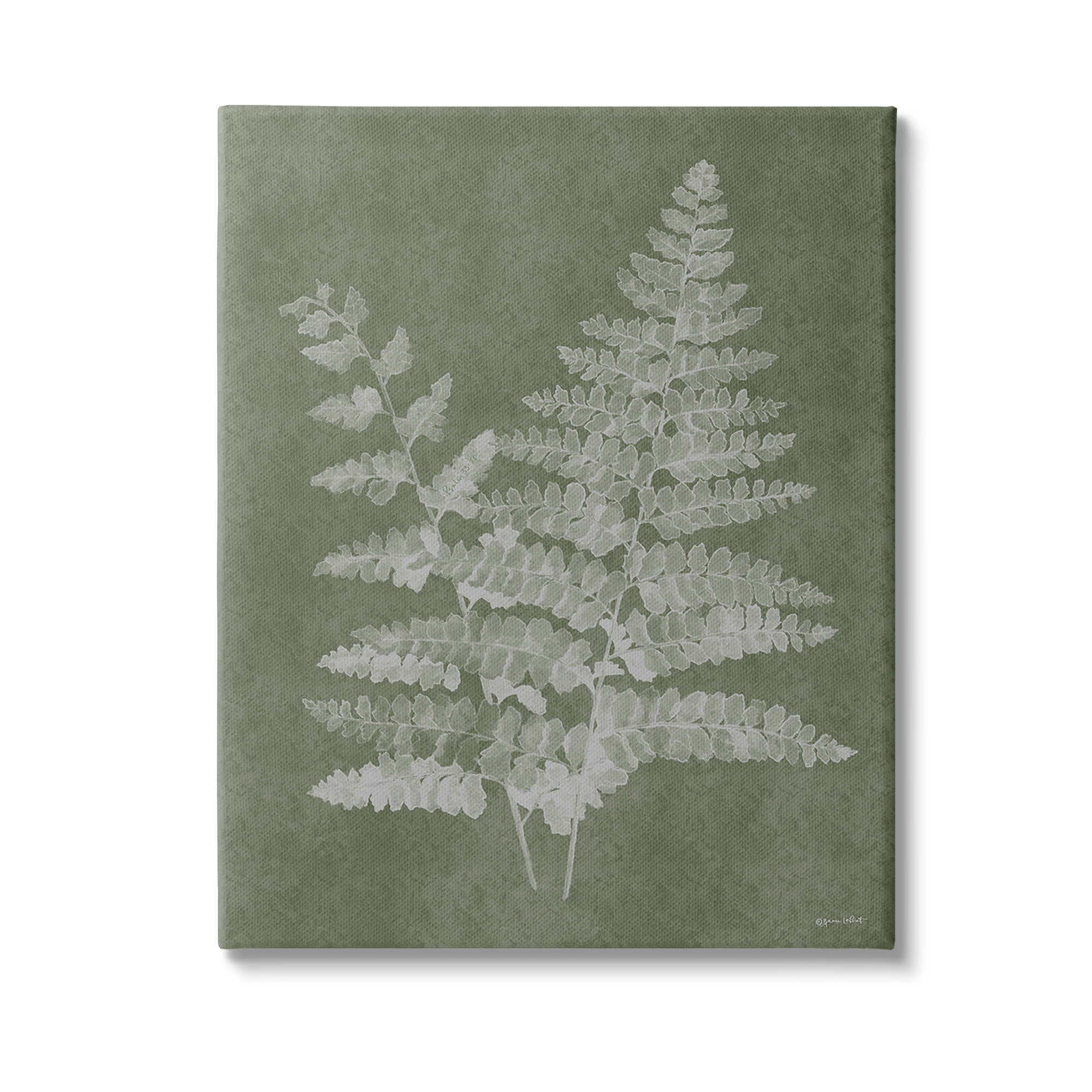 Stupell Industries Green Rustic Ferns Botanical & Floral Painting Gallery Wrapped Canvas Art Print Wall Art, 30 x 40