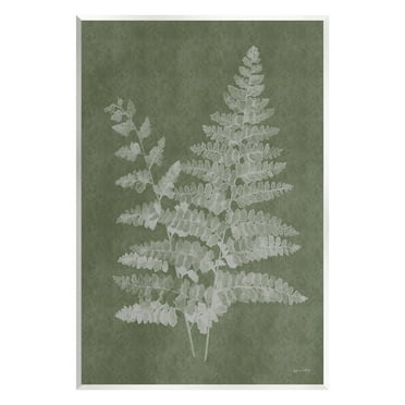 Stupell Industries Green Rustic Ferns Botanical & Floral Painting Unframed Art Print Wall Art, 10 x 15