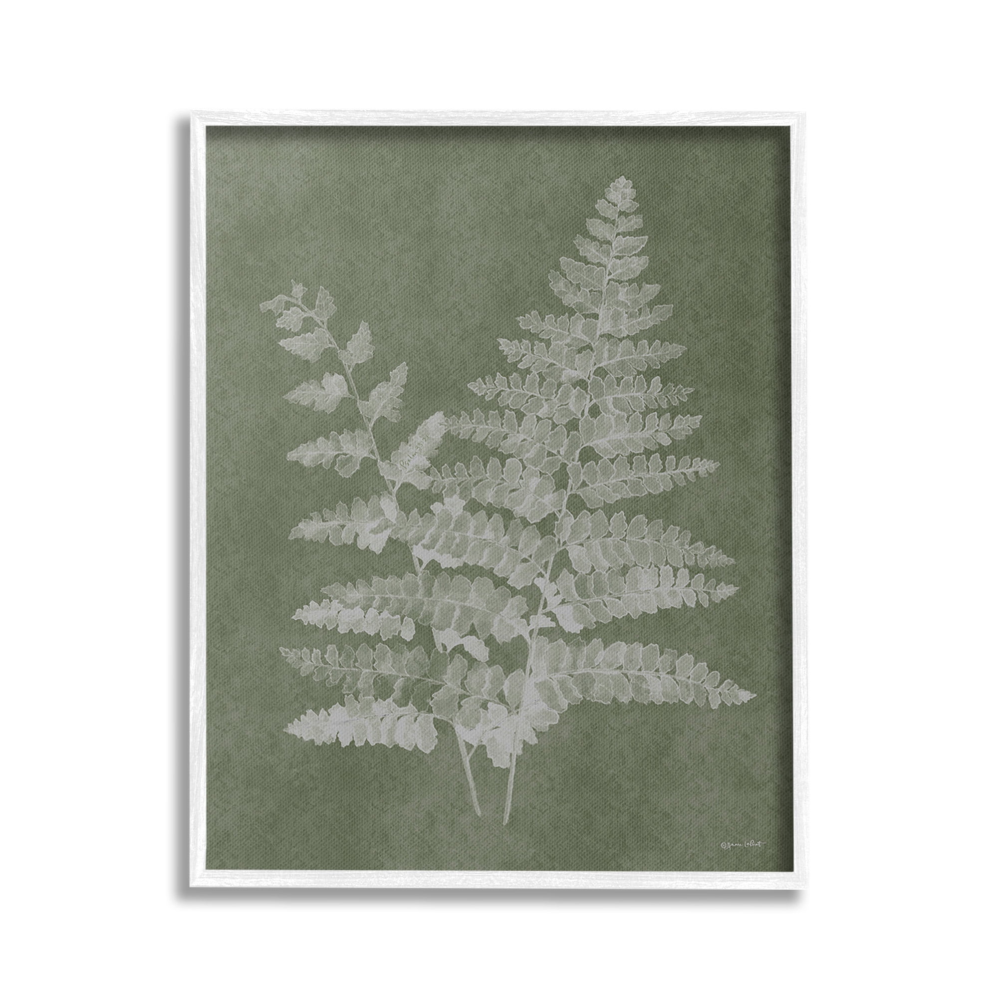 Stupell Industries Green Rustic Ferns Botanical & Floral Painting White Framed Art Print Wall Art, 16 x 20