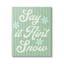 Stupell Industries Green Say It Ain't Snow Holiday Painting Gallery Wrapped Canvas Art Print Wall Art, 16 x 20