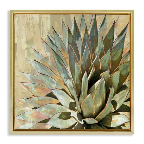Stupell Industries Green Succulent Agave Leaves Botanical & Floral Painting Gold Floater Framed Canvas Art Print Wall Art, 18 x 18