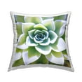 thumbnail image 1 of Stupell Industries Green Succulent Close Up Gardening Printed Throw Pillow Design by Irena Orlov, 1 of 6