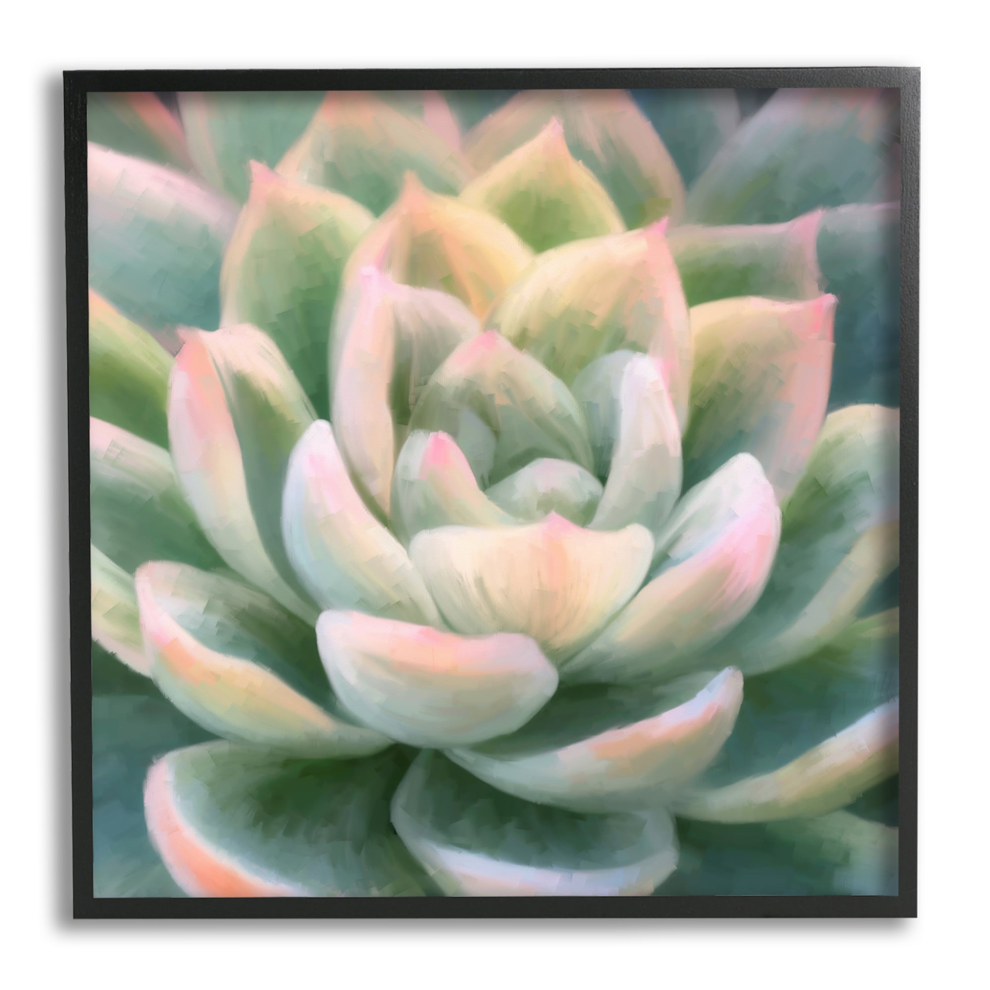 Stupell Industries Green Succulent Petals Botanical & Floral Painting Black Framed Art Print Wall Art, 12 x 12