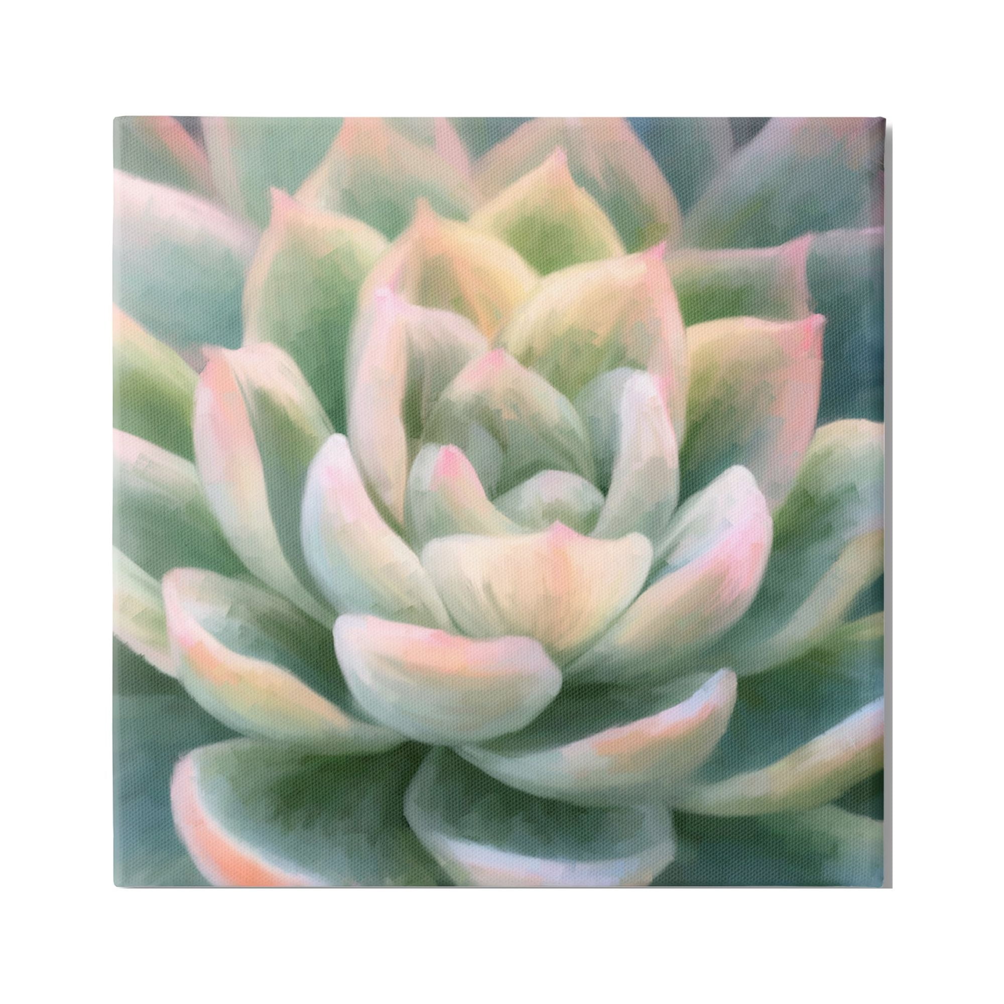 Stupell Industries Green Succulent Petals Botanical & Floral Painting Gallery Wrapped Canvas Print Wall Art, 30 x 30