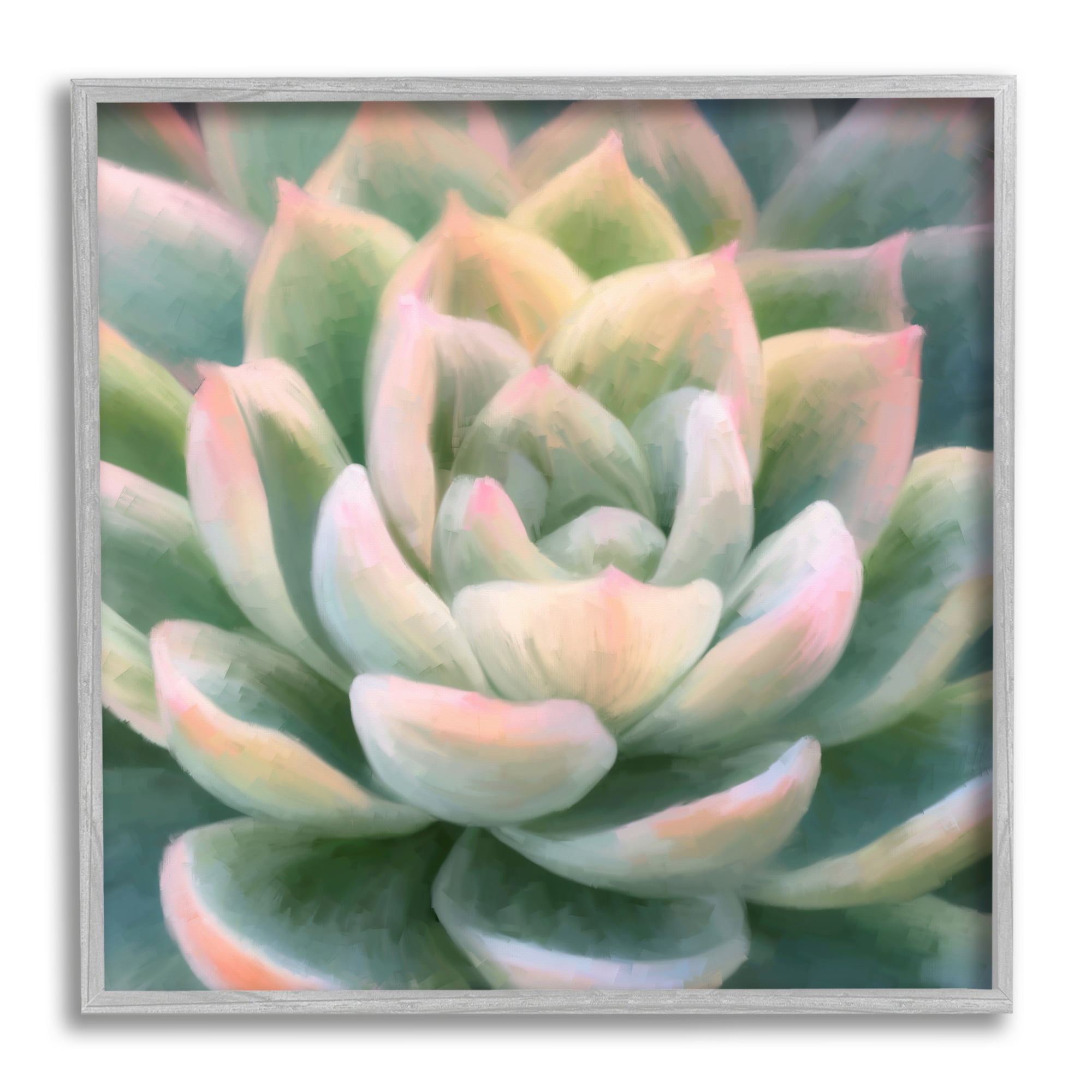 Stupell Industries Green Succulent Petals Botanical & Floral Painting Gray Framed Art Print Wall Art, 17 x 17