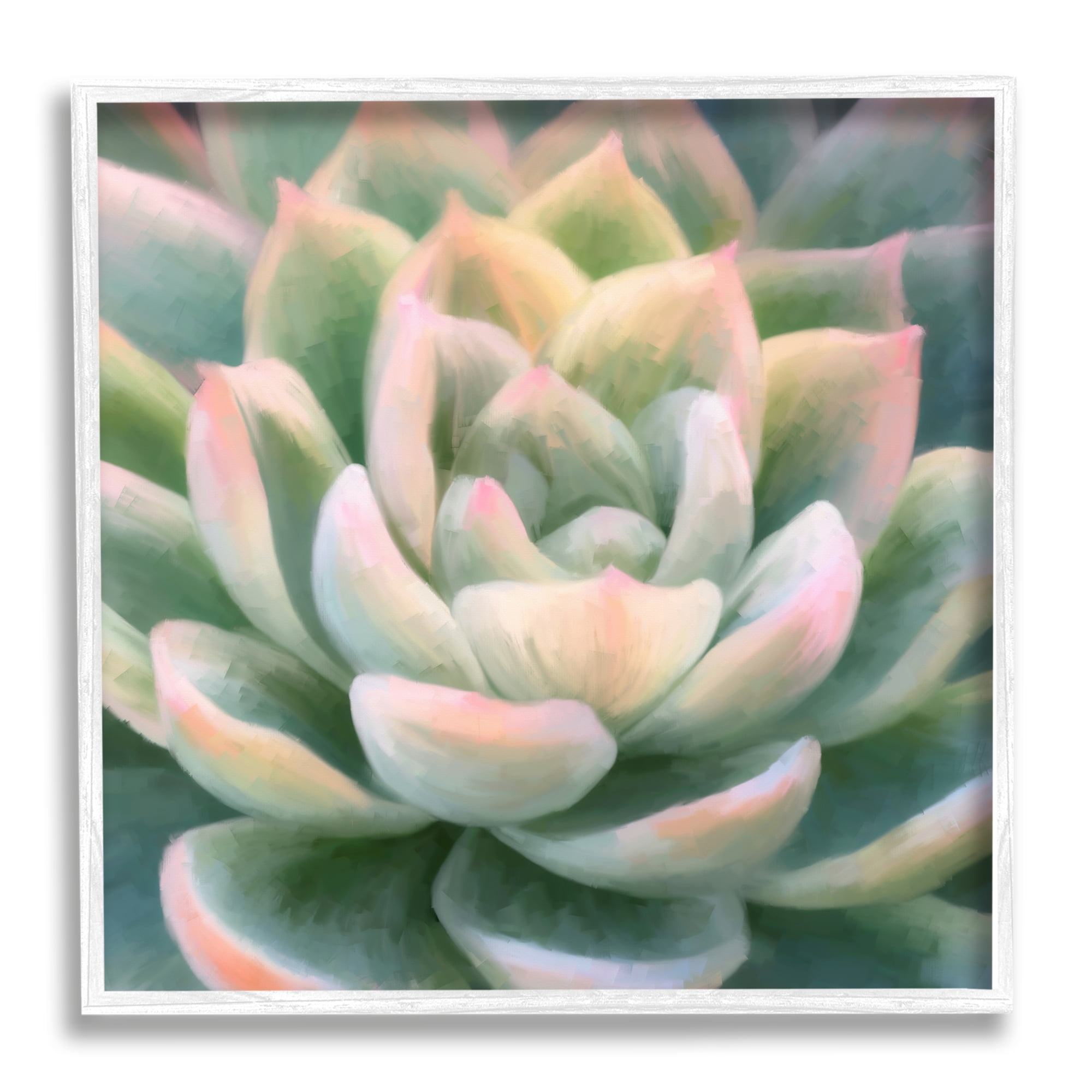 Stupell Industries Green Succulent Petals Botanical & Floral Painting White Framed Art Print Wall Art, 24 x 24