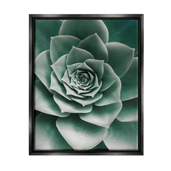 Stupell Industries Green Succulent Photography Botanical & Floral Photography Black Floater Framed Art Print Wall Art, 17 x 21