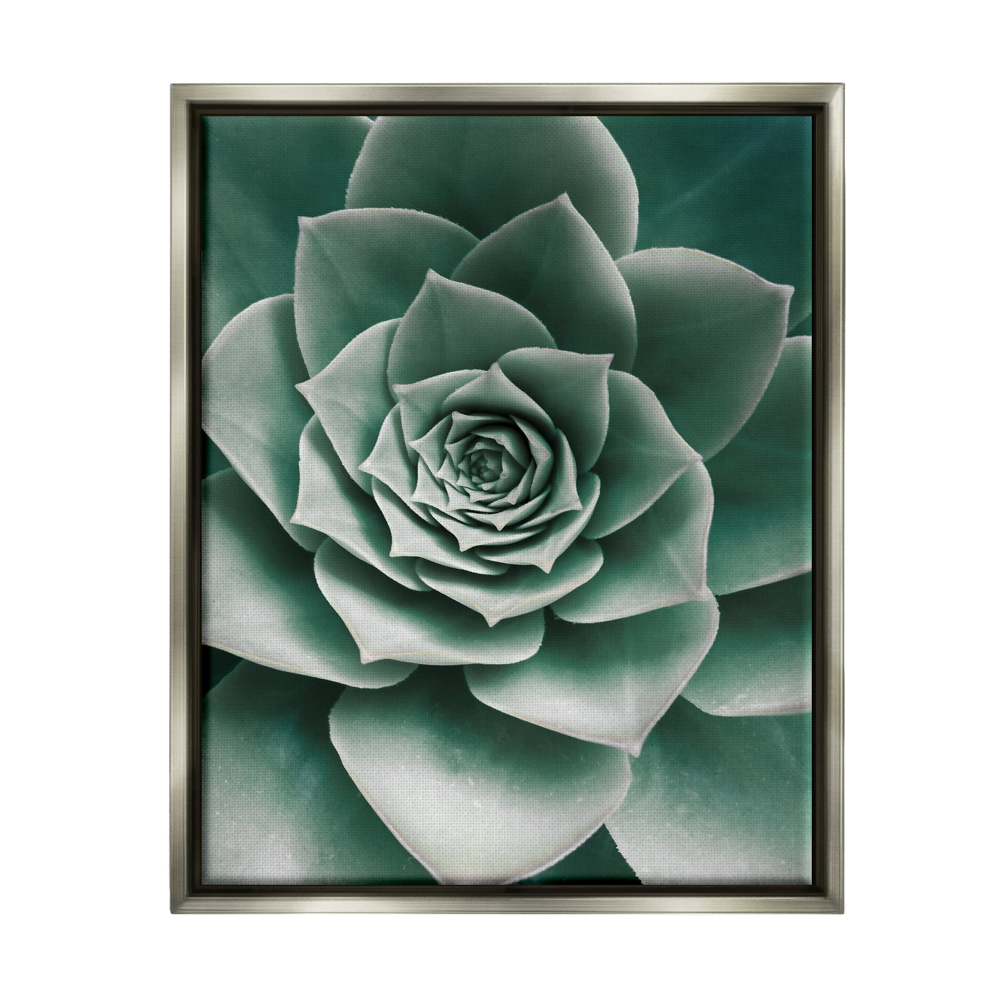 Stupell Industries Green Succulent Photography Botanical & Floral Photography Gray Floater Framed Art Print Wall Art, 25 x 31