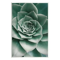 Stupell Industries Green Succulent Photography Botanical & Floral Photography Unframed Art Print Wall Art, 10 x 15