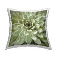 thumbnail image 1 of Stupell Industries Green Succulent Plant Nature Leaves Square Decorative Printed Throw Pillow, 18 x 18,, 1 of 4