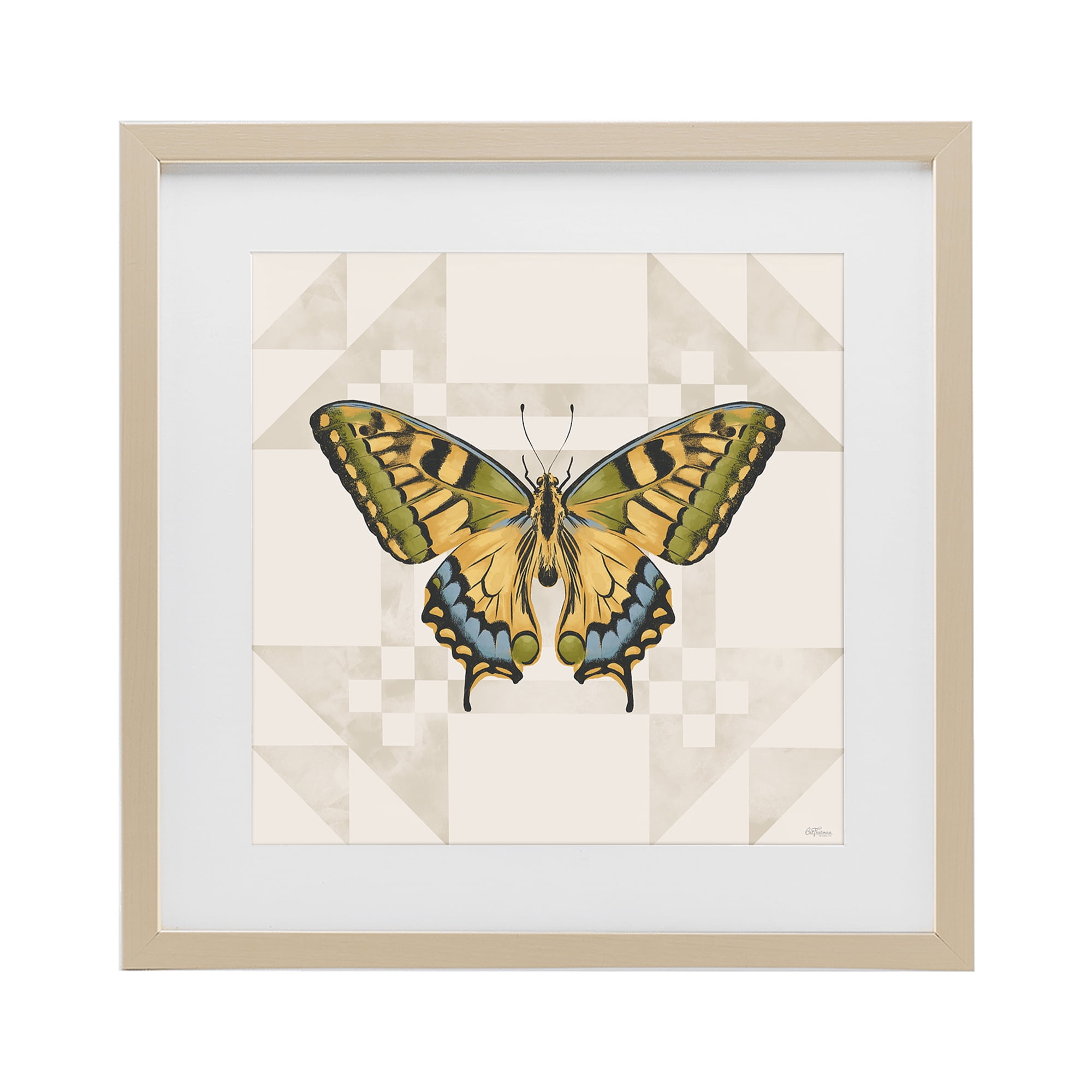 Stupell Industries Green Swallowtail Butterfly Birch Framed Print Under Glass, design by Cat Thurman Designs