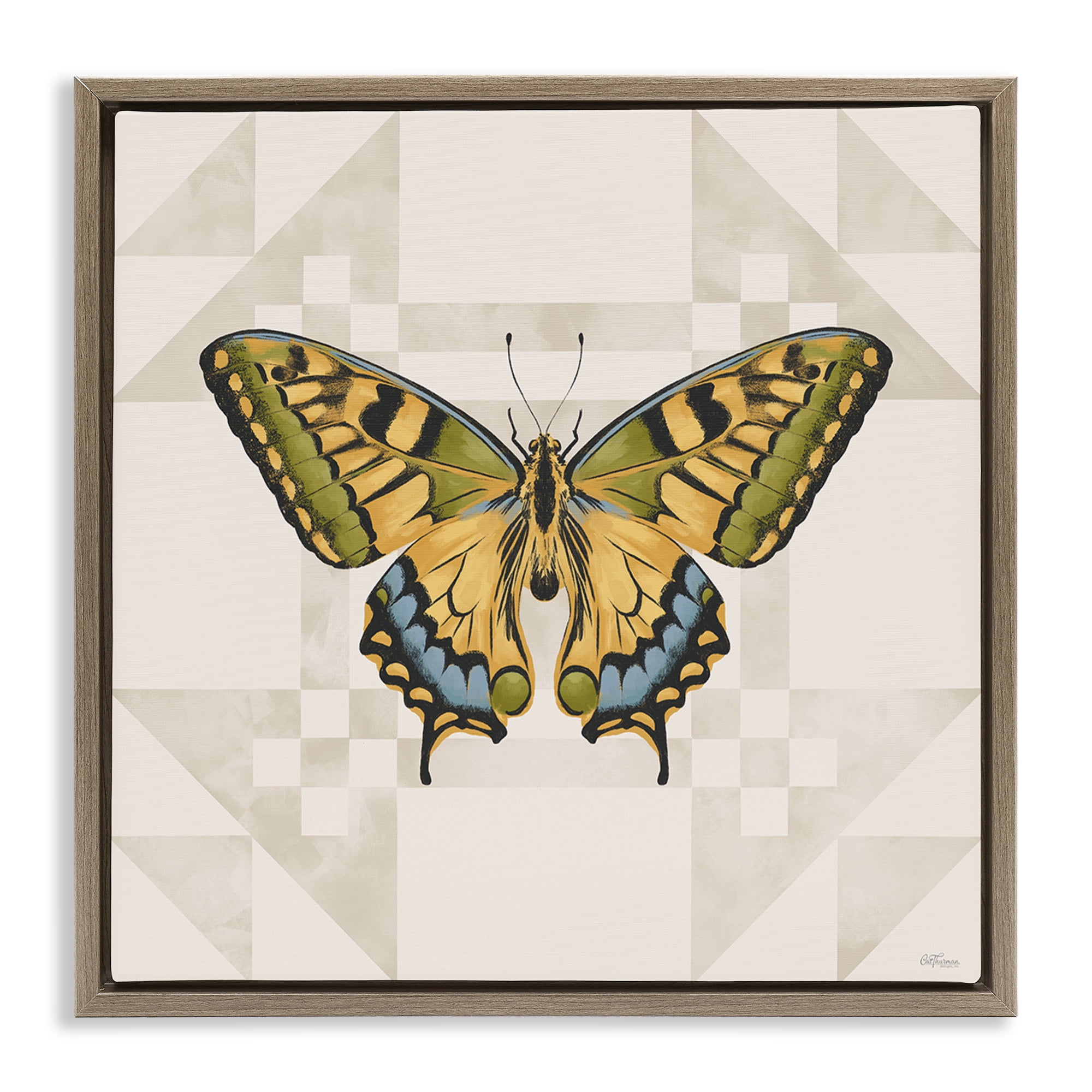 Stupell Industries Green Swallowtail Butterfly Brown Framed Floater Canvas Wall Art, design by Cat Thurman Designs
