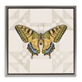 thumbnail image 1 of Stupell Industries Transitional Green Swallowtail Butterfly Gray Floating Frame Canvas Art, 18 x 18, by Cat Thurman Designs, 1 of 8