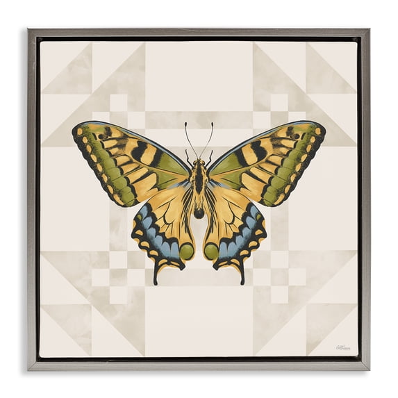 Stupell Industries Transitional Green Swallowtail Butterfly Gray Floating Frame Canvas Art, 18 x 18, by Cat Thurman Designs