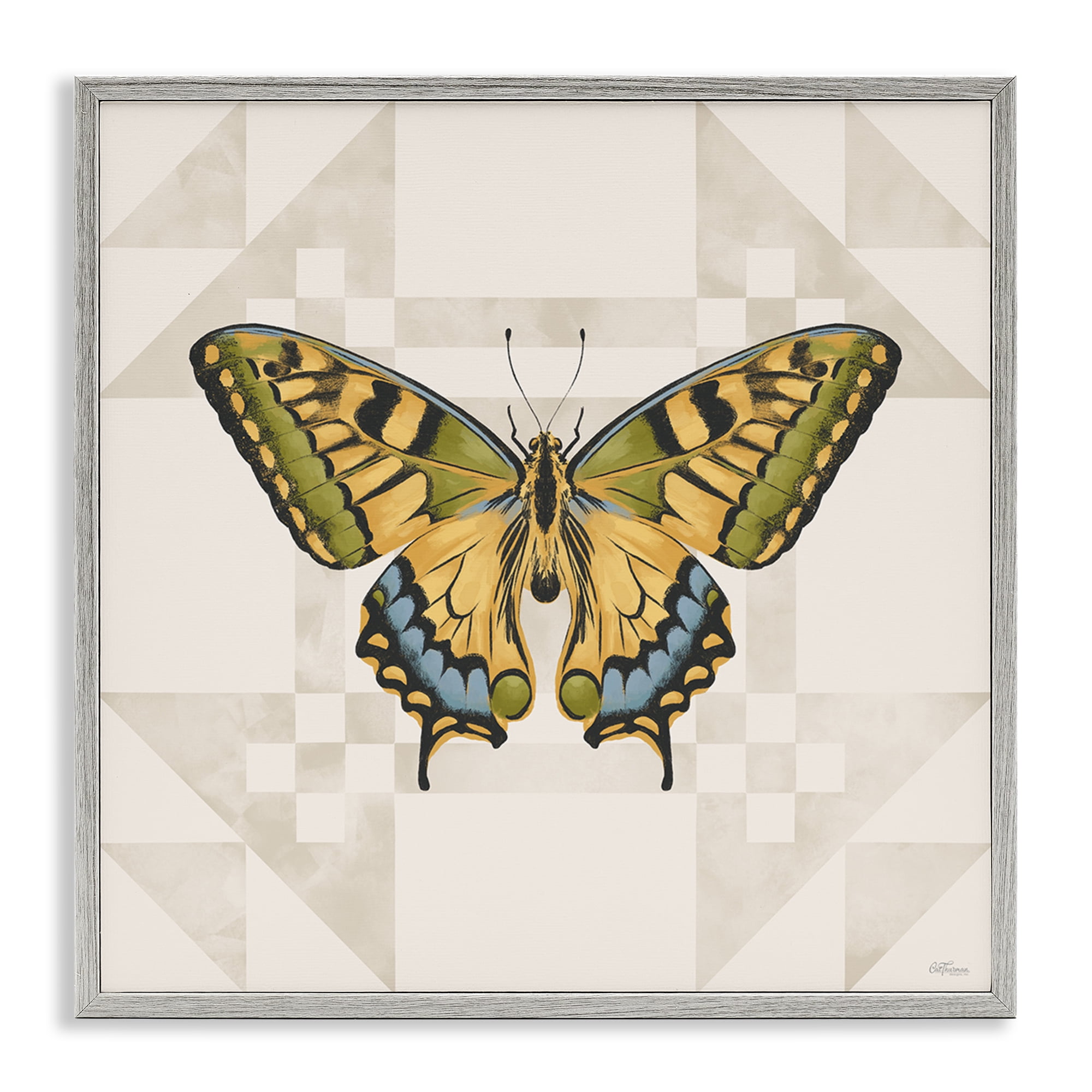 Stupell Industries Green Swallowtail Butterfly Gray Framed Giclee Art, design by Cat Thurman Designs